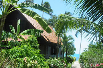 Coconut Grove 7
